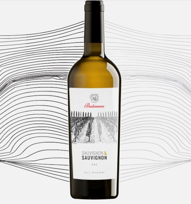 Sauvignon & Sauvignon. Întoarcerea la origini și revoluția de azi
